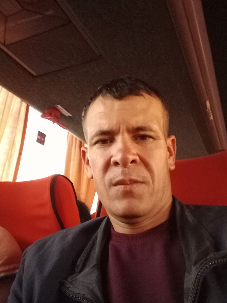  52279577  , 37 ,    
