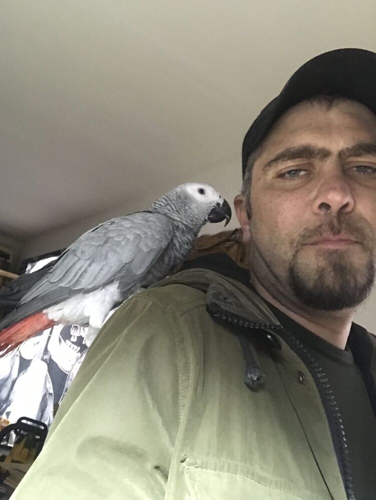 ���� 54867087 ������� ������, 39 ���, ���� ���������� � Al Jizah