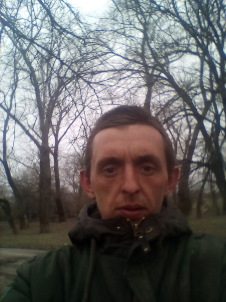  41694367  , 31 ,    