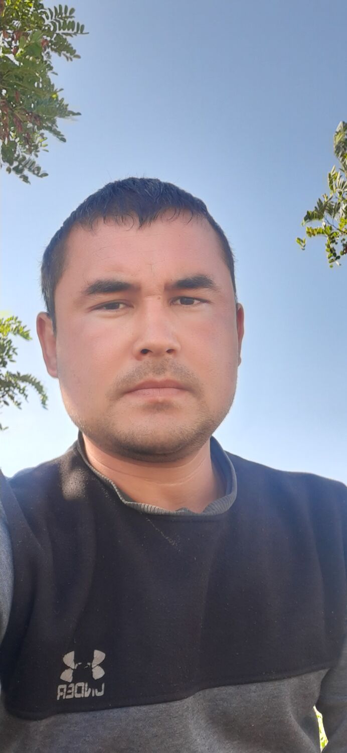  38324847  , 32 ,    