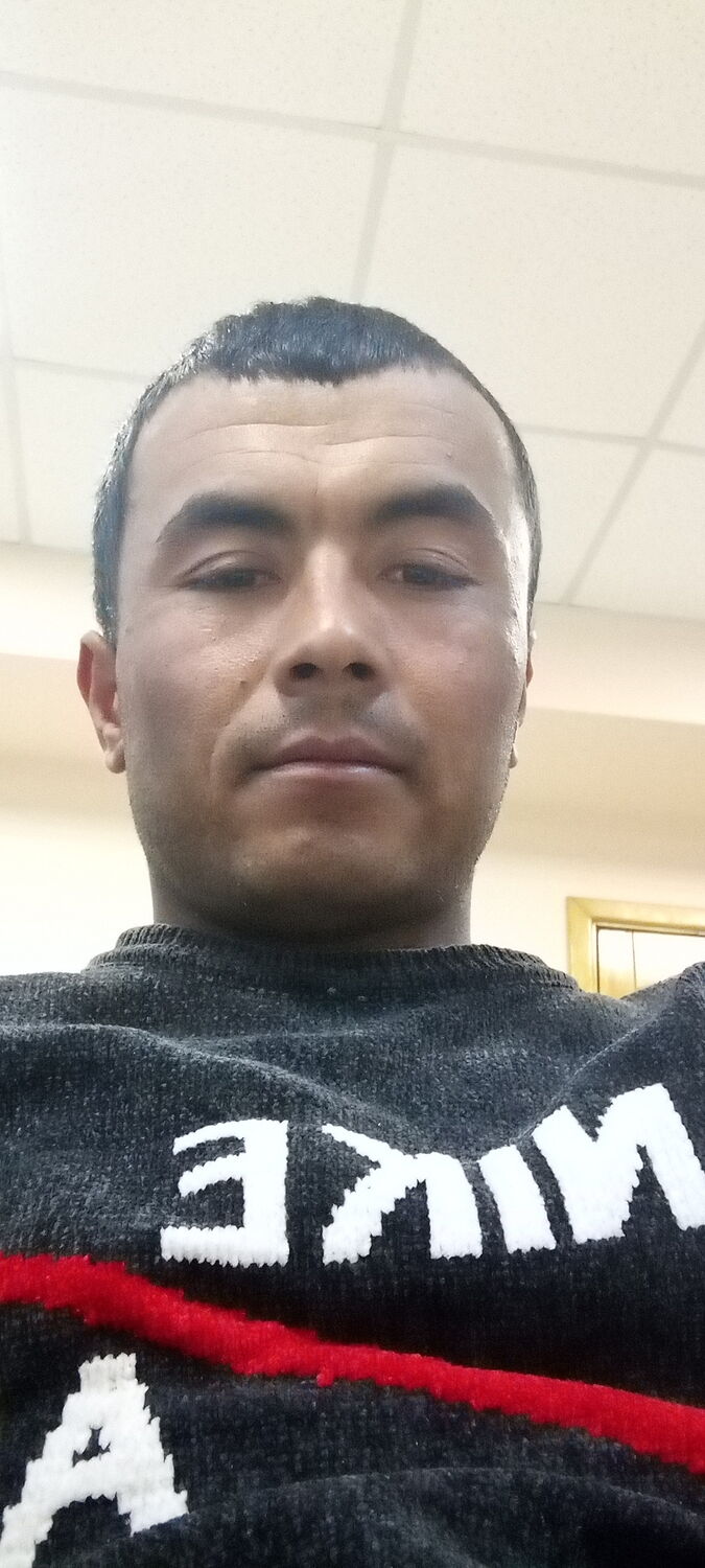  33348617  , 32 ,    