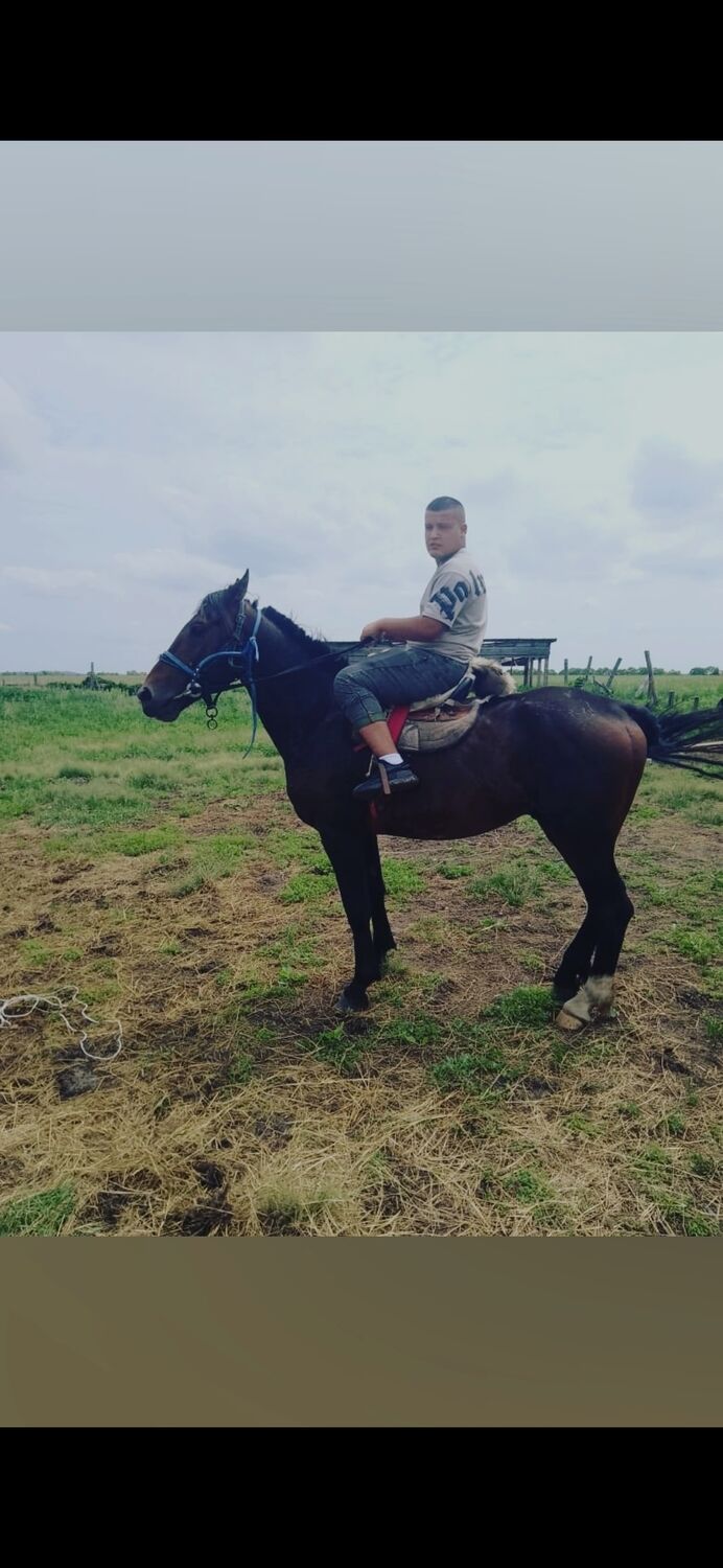 ���� 41354367 ����� ���, 22 ����, ���� ���������� � ����������