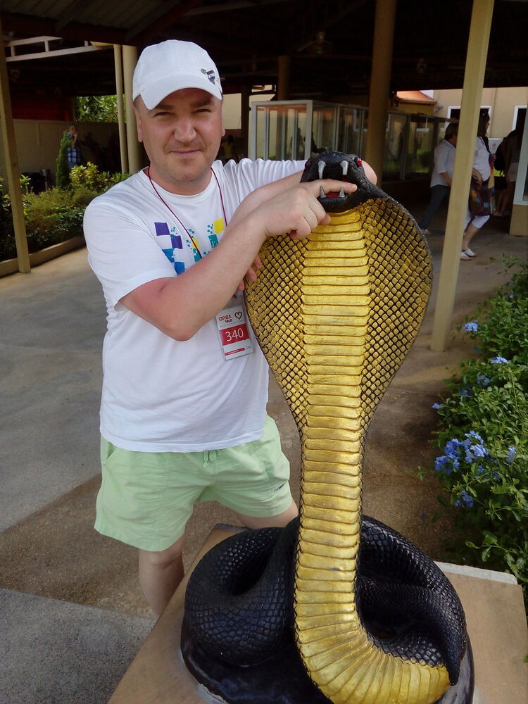 ���������� ����������, ���� ������� ����, 43 ����, ������������ ��� ������, ����� � ���������, c�������� ���������, ���������