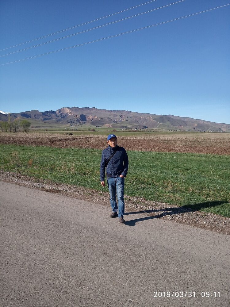 ���� 15686117 ������� ����, 36 ���, ���� ���������� � �������