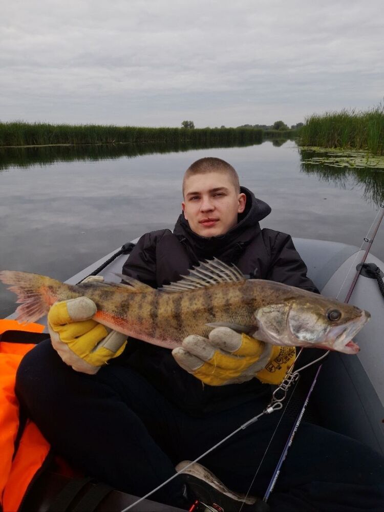 ���� 31111747 ����� ������, 21 ���, ���� ���������� � ������