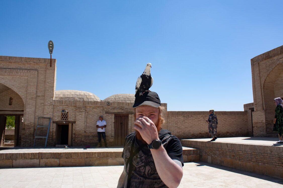 ���� 43694867 ������� ����, 38 ���, ���� ���������� � �����-����������