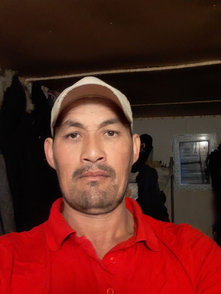  31579837  , 46 ,    