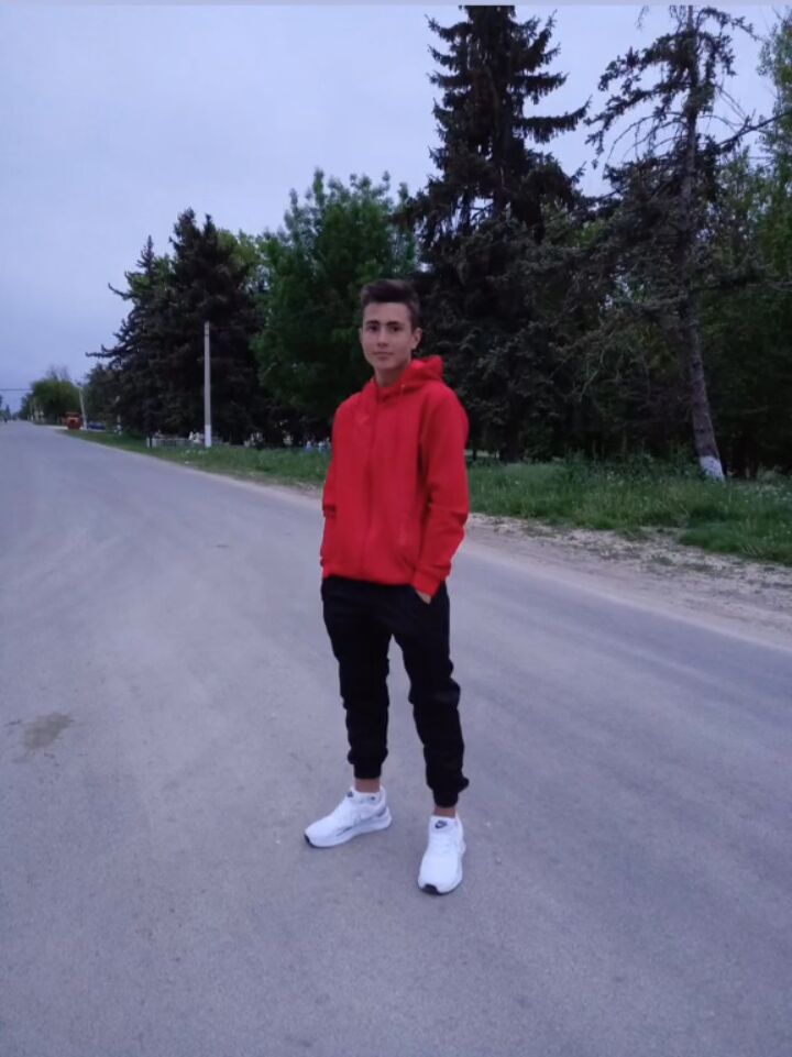  49835307  , 20 ,    