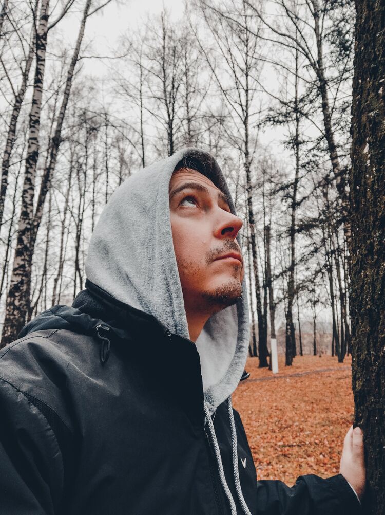 ���������� �����, ���� ������� ���������, 44 ����, ������������ ��� ����� � ���������, c�������� ���������