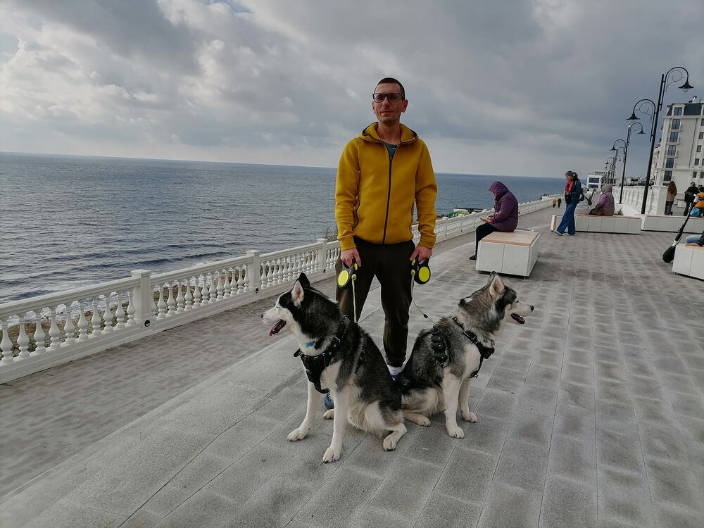 ���� 31126927 ������� Archi, 41 ���, ���� ���������� � ������