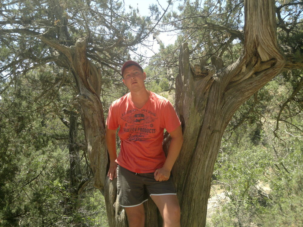 ���������� �������, ���� ������� ��������, 38 ���, ������������ ��� ������, ����� � ���������, c�������� ���������