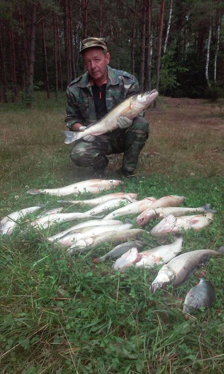 ���������� �����, ���� ������� ������, 57 ���, ������������ ��� ����� � ���������, c�������� ���������