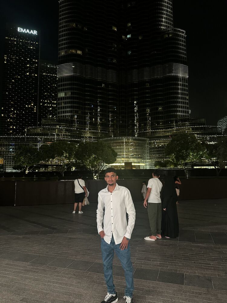 53836947  , 24 ,    -