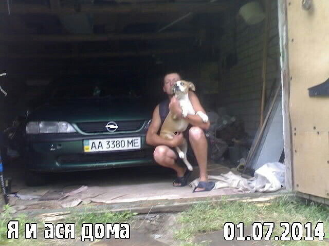  32973407  , 43 ,    