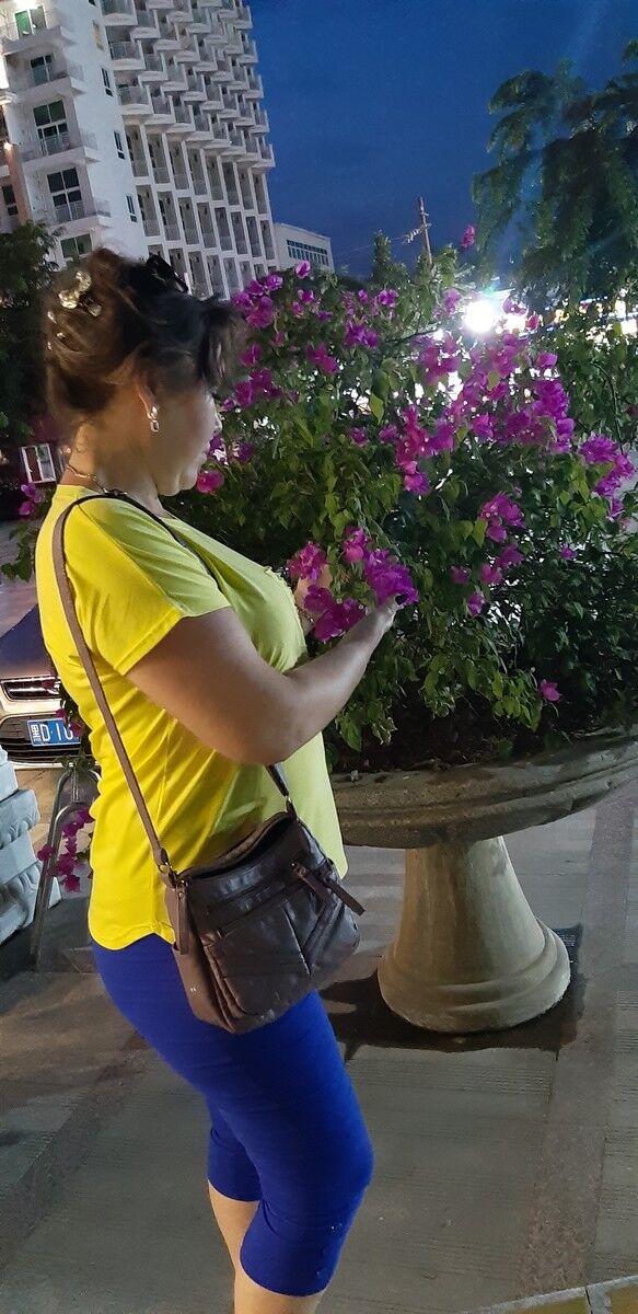  18516697  , 51 ,    