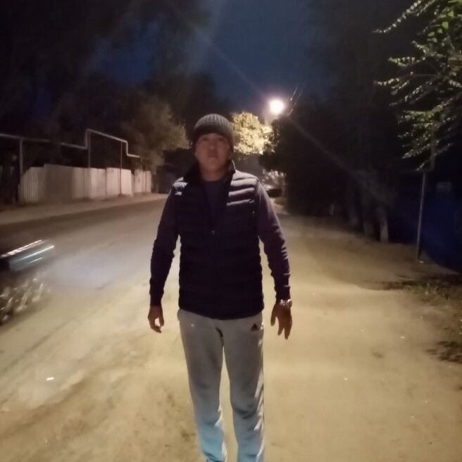 ���� 18483537 ������� �����, 40 ���, ���� ���������� � ������