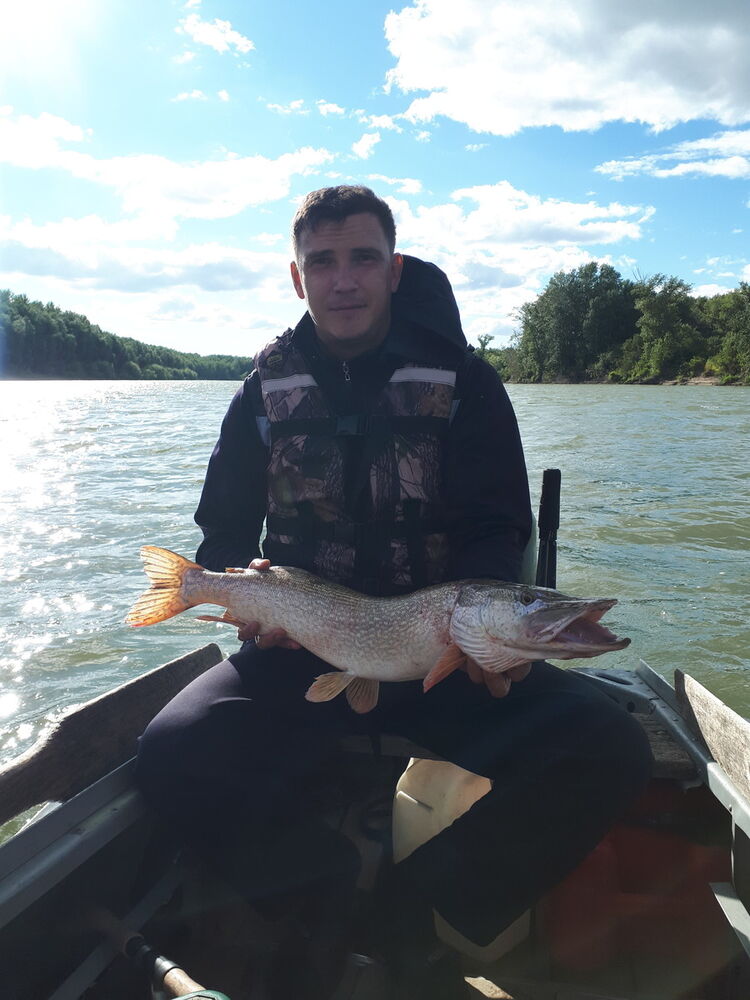 ���� 13173747 ������� �������, 41 ���, ���� ���������� � ���������