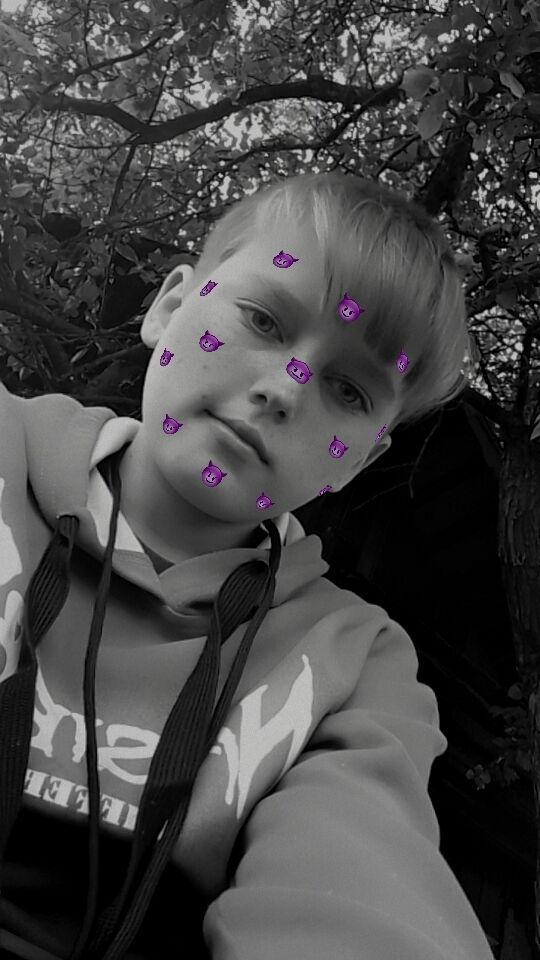 36478427  Nikita, 24 ,    