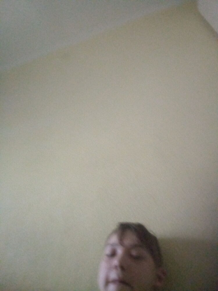  43329147  , 20 ,    