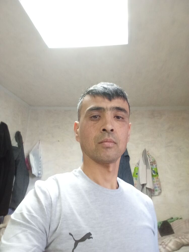  43371567  , 40 ,    