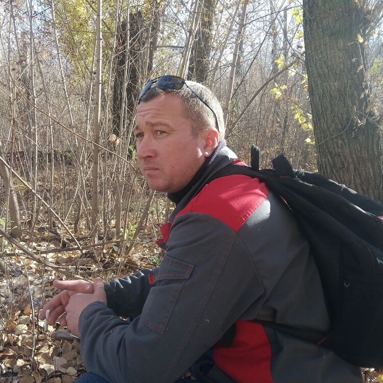 ���� 15847967 ������� �����, 44 ����, ���� ���������� � ���������