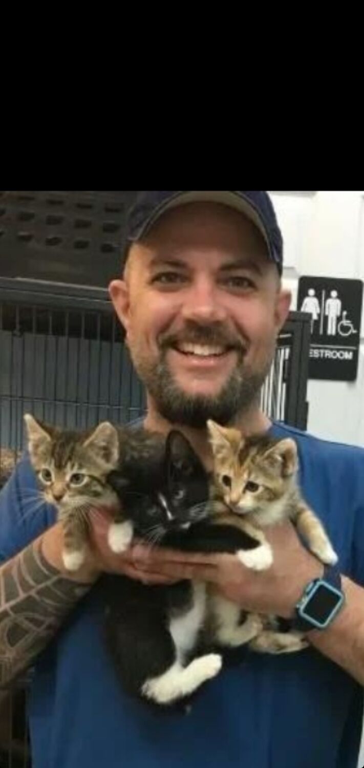 ���� 29740787 ������� ������, 50 ���, ���� ���������� � ������