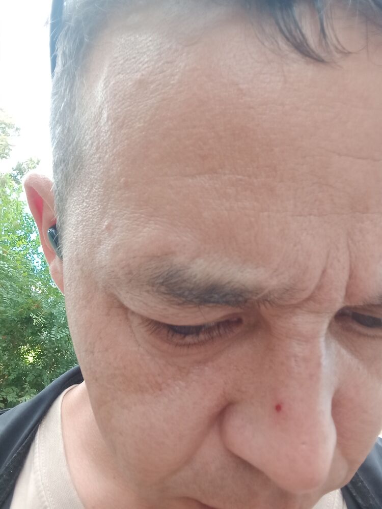  53481967  , 44 ,    