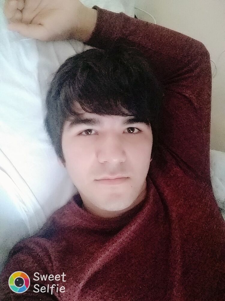  19078507  , 31 ,    