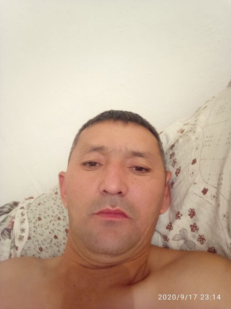  21126157  , 45 ,    