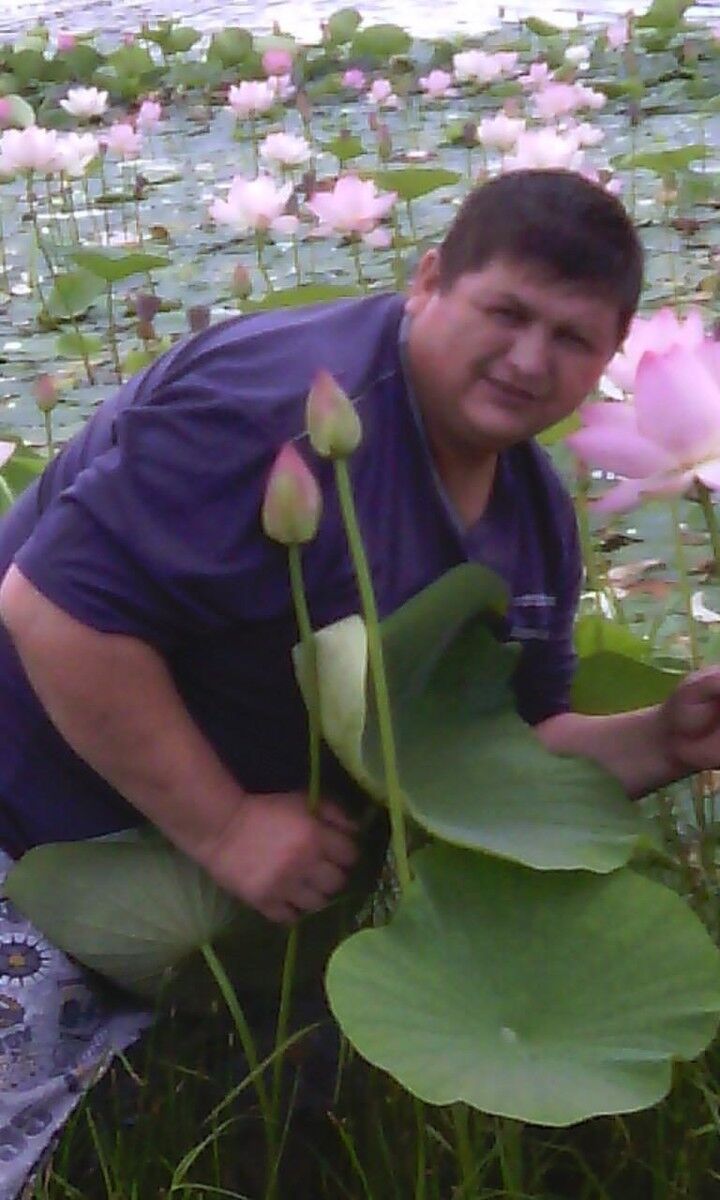  ,   , 56 ,   , 