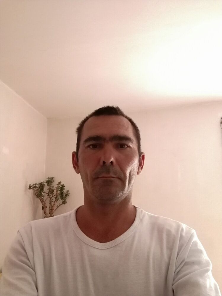  20517157  , 38 ,    