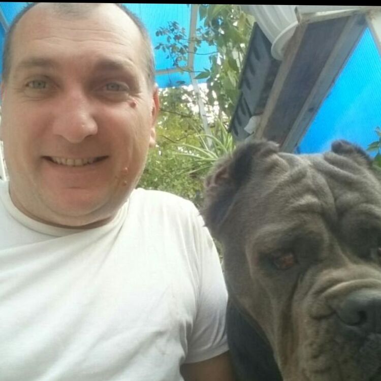  ,   , 46 ,   ,   , 