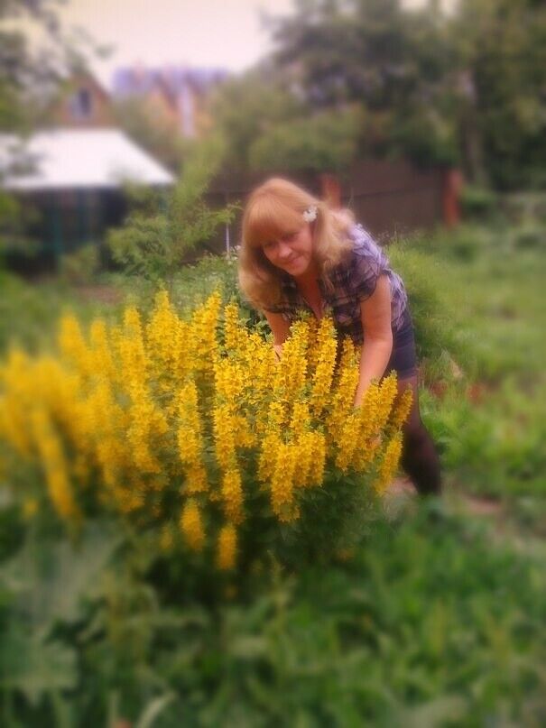 ���������� ������, ���� ������� ���������, 57 ���, ������������ ��� c�������� ���������