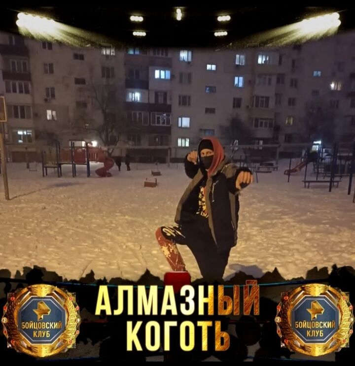  43133877  , 36 ,    -