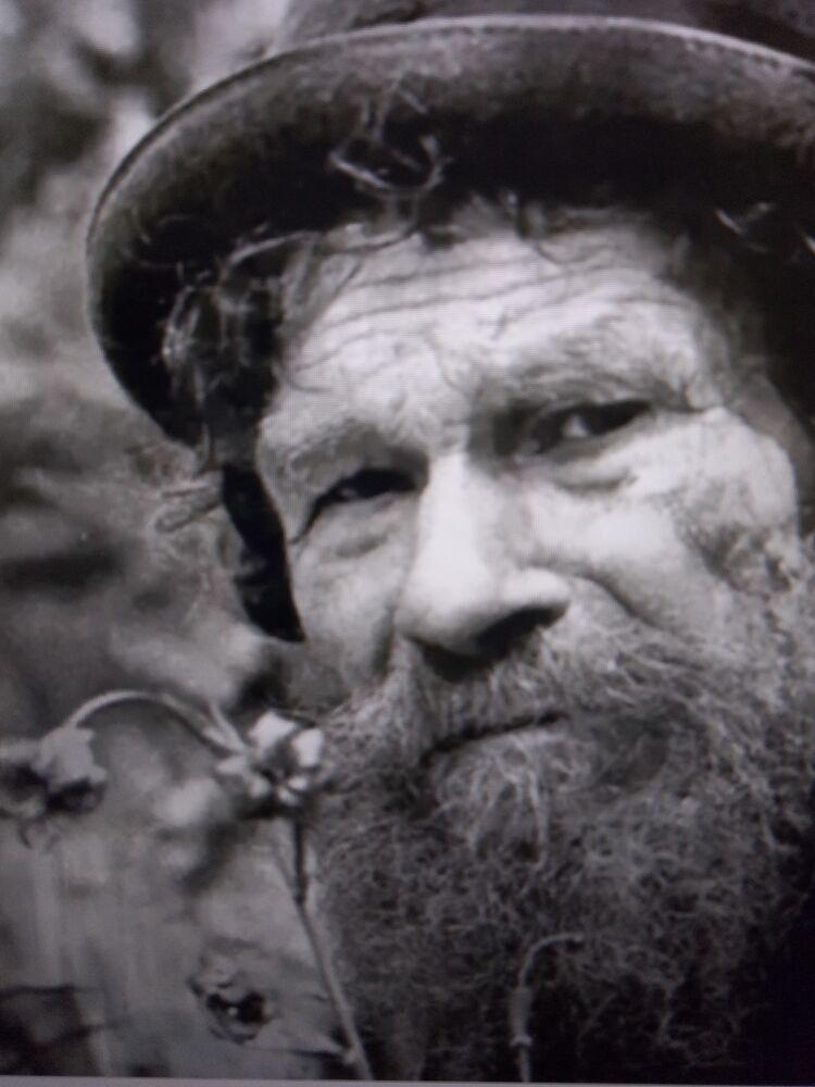 ���� 54160417 ������� ������, 66 ���, ���� ���������� � ������