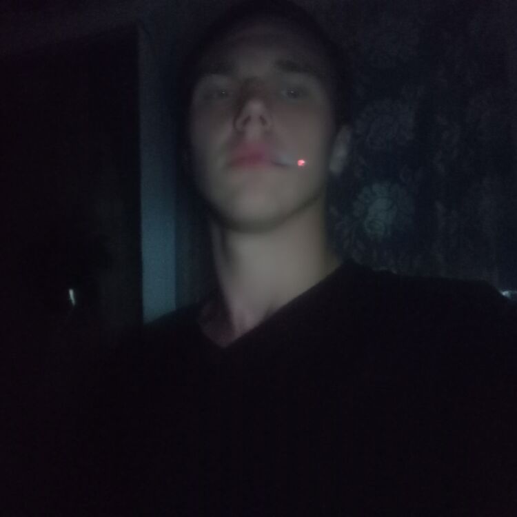  48003517  , 18 ,    