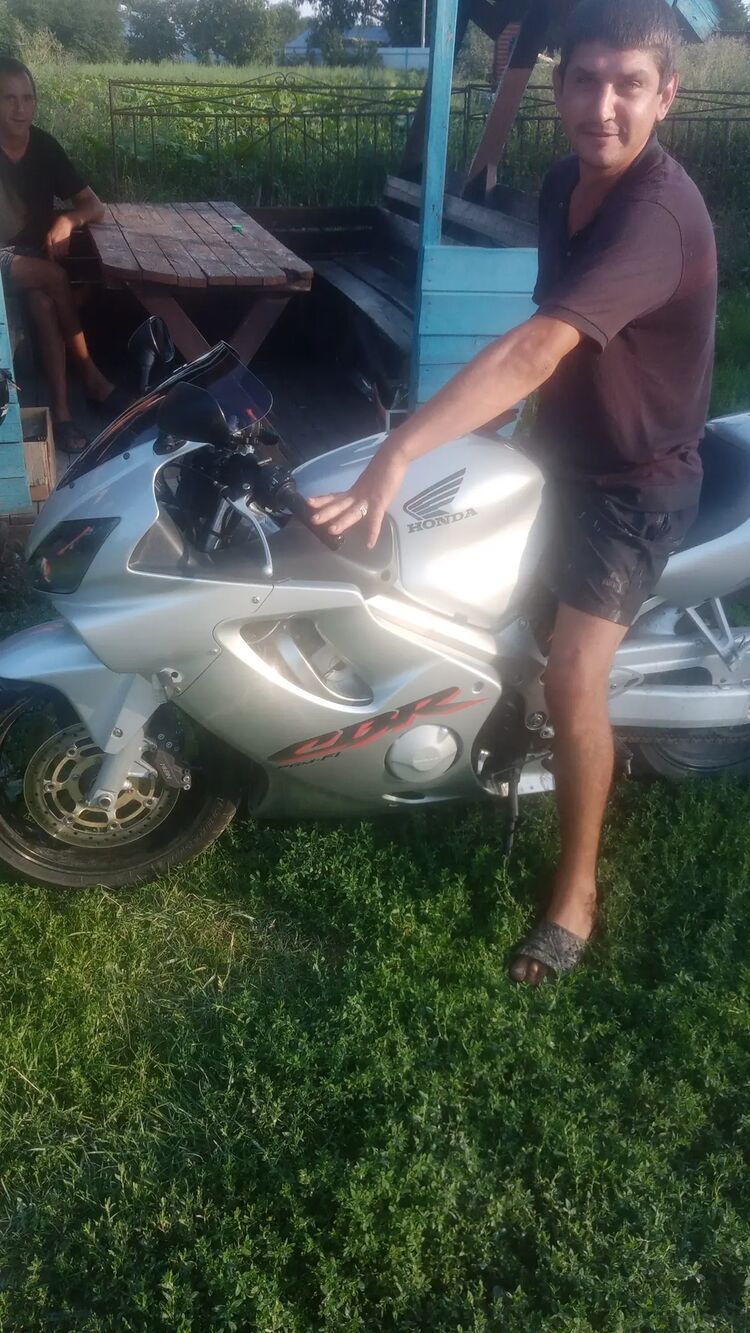  40816267  , 33 ,    