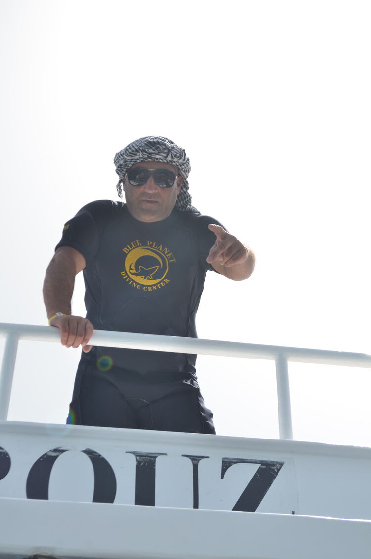 ���� 25659487 ������� ����, 42 ����, ���� ���������� � �������