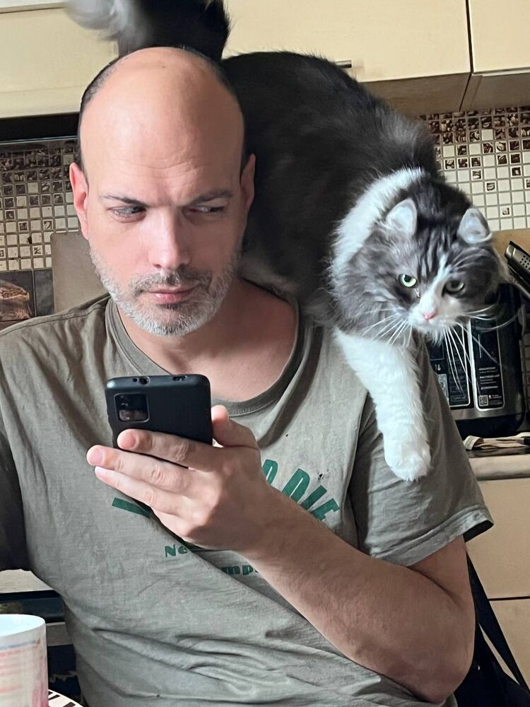 ���� 55633417 ������� ������, 48 ���, ���� ���������� � �����-����������