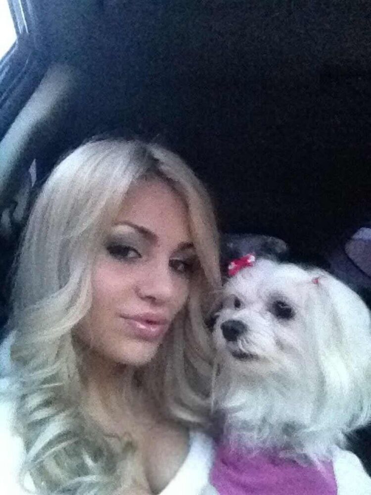 ���� 22033147 ������� ����, 27 ���, ���� ���������� � ������