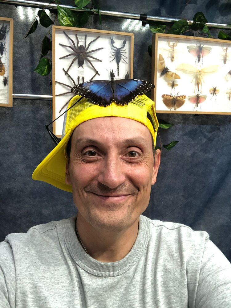  ,   , 48 ,   ,   