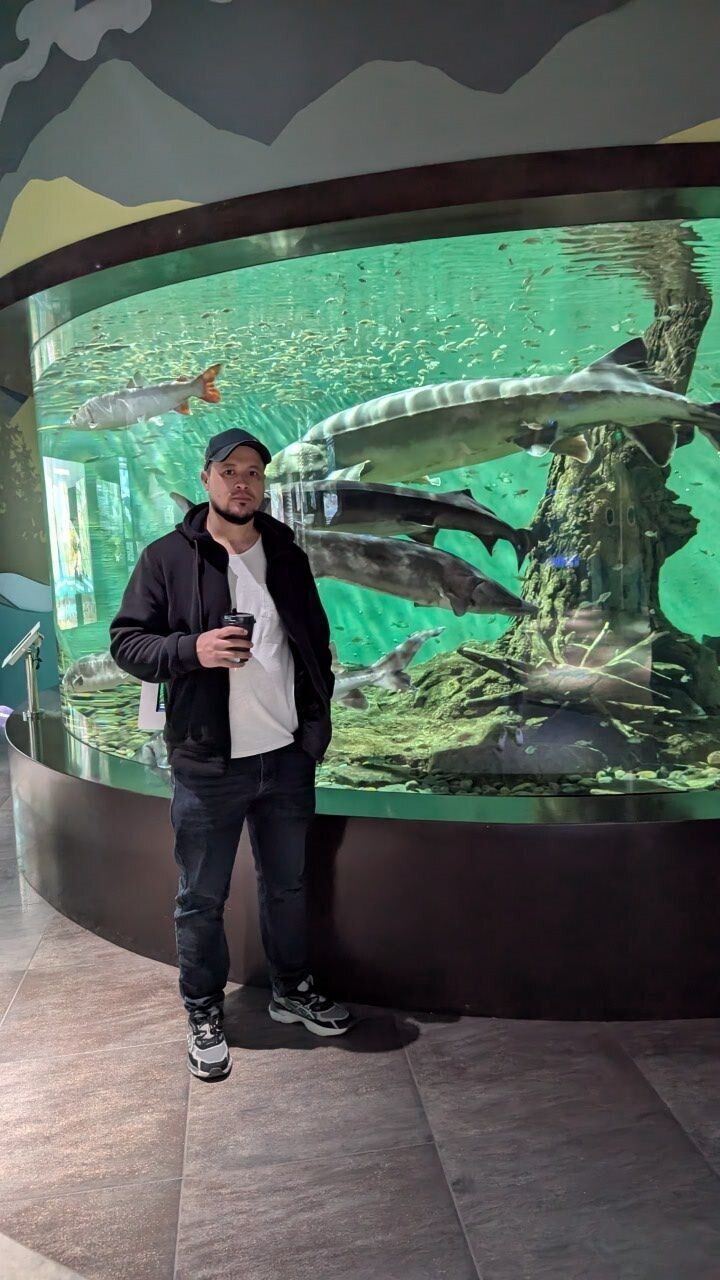 ���� 56087287 ������� ����, 36 ���, ���� ���������� � ������������