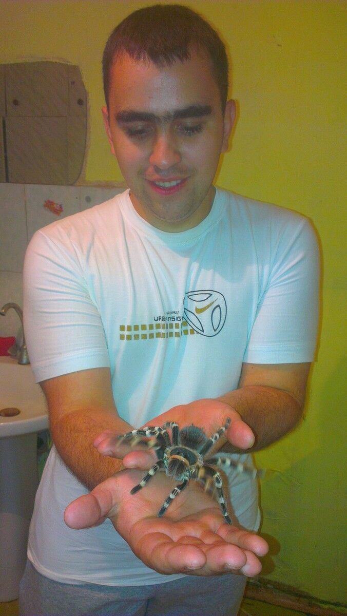 ���� 5534937 ������� ����, 33 ����, ���� ���������� � ����������