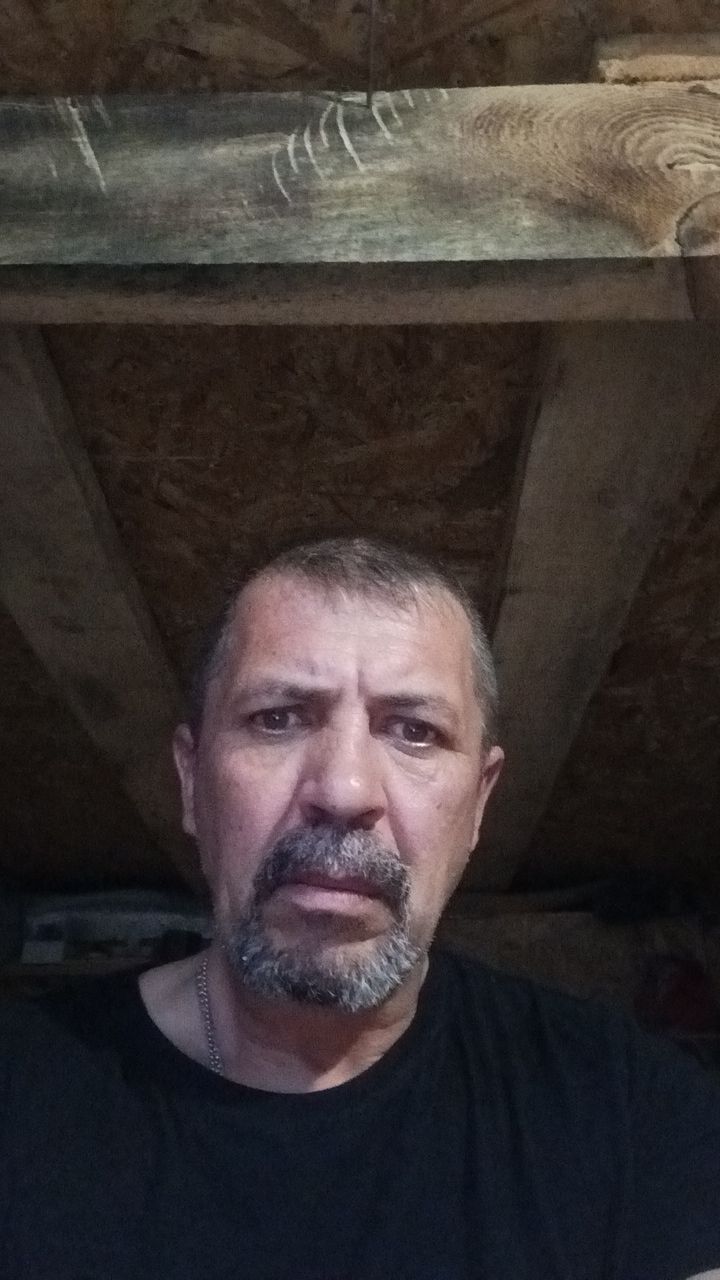  50640577  , 49 ,    