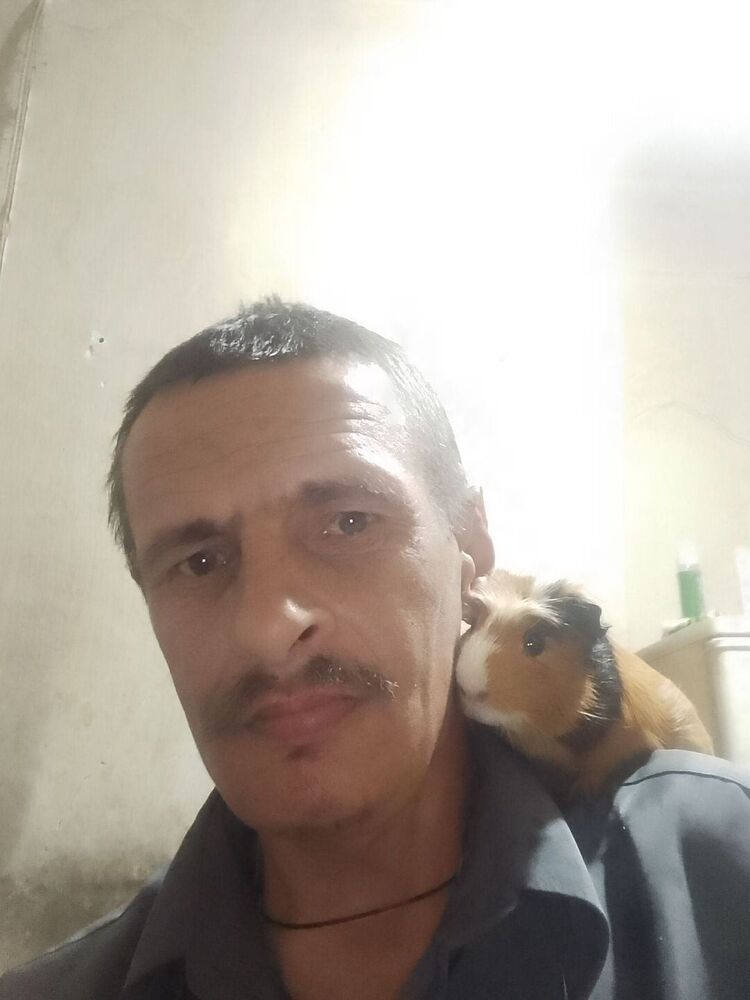 ���������� ��������, ���� ������� ������, 43 ����, ������������ ��� ������, ����� � ���������, c�������� ���������