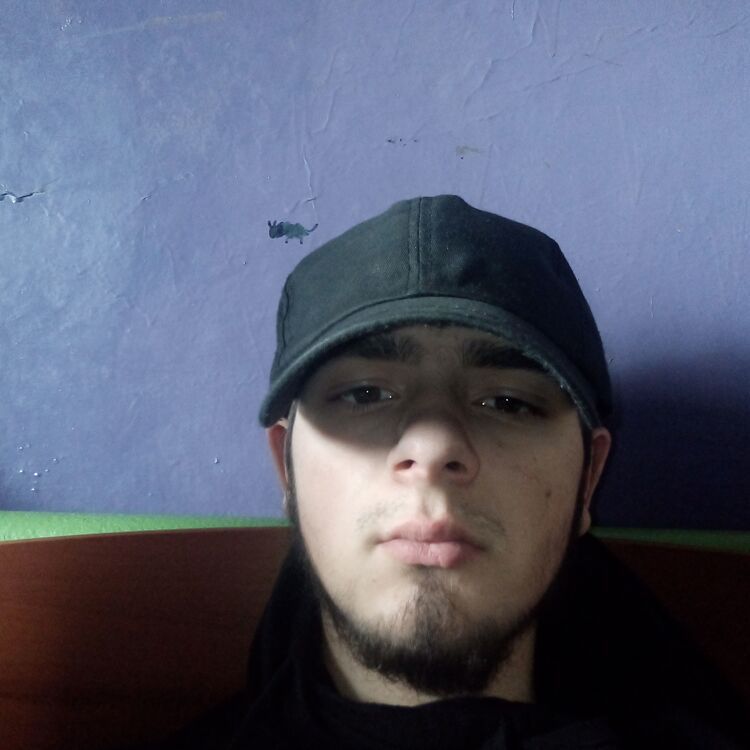  31743357  , 22 ,    