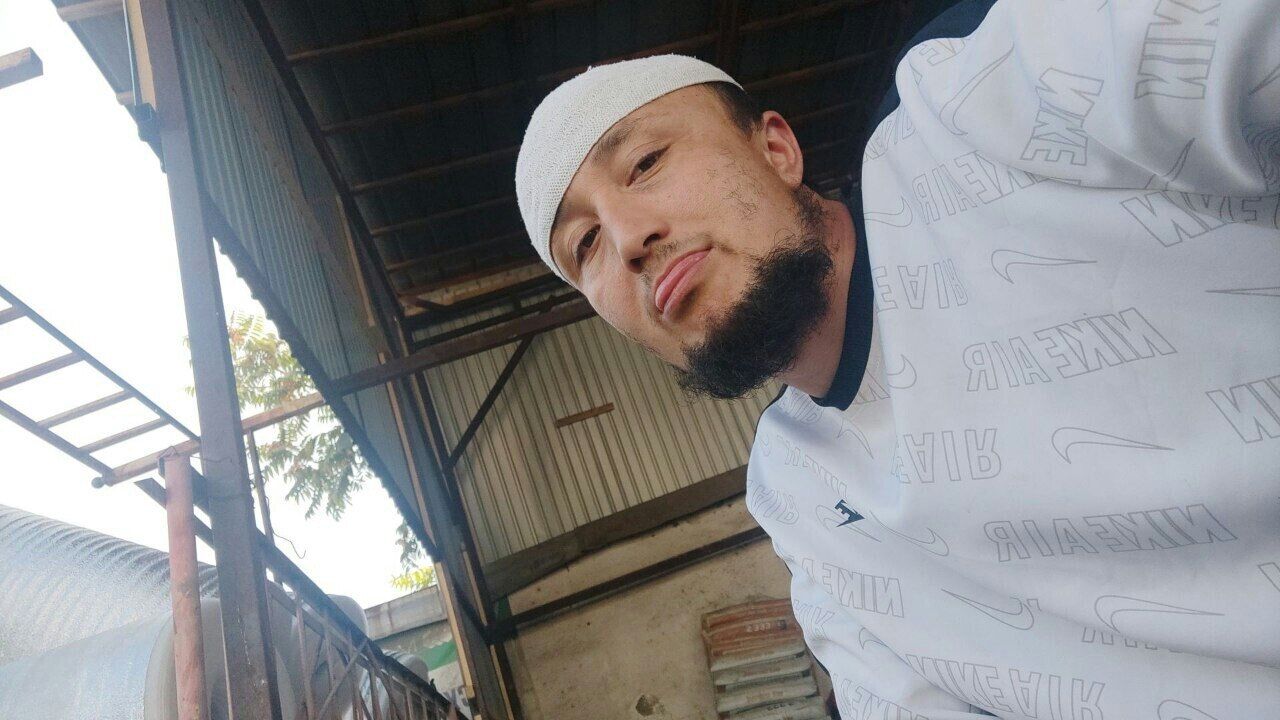  43555897  , 32 ,    