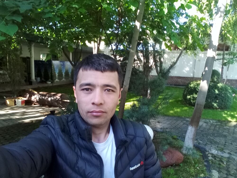  33604747  , 37 ,    