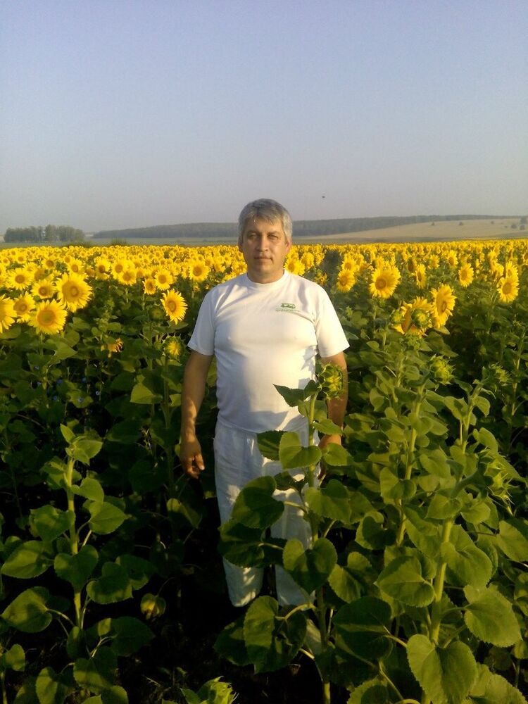  ,   , 53 ,   