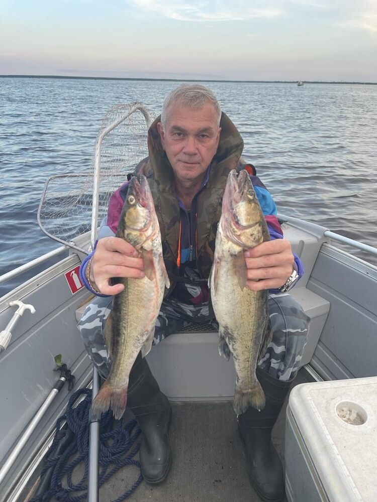 ���������� �����-���������, ���� ������� �����, 54 ����, ������������ ��� ������, ����� � ���������